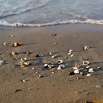 Lovely Seaview Flat-beahost Bibione