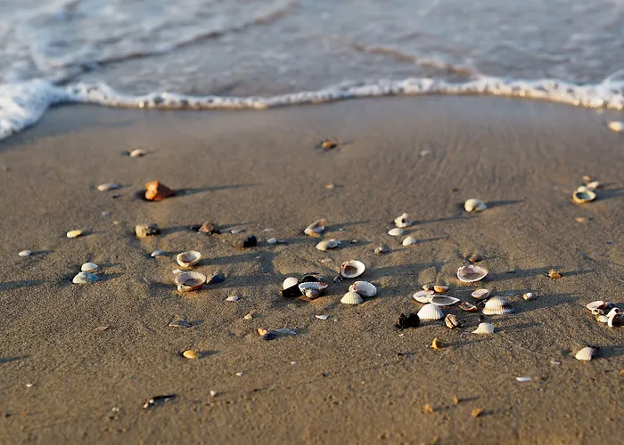 Lovely Seaview Flat-beahost Bibione